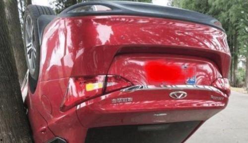 中国国产车撞大树视频,惊险瞬间撞大树，车损树毁引关注