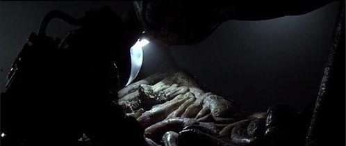 国产恐怖电影人皮蛹视频,惊悚深宅，人性深渊的恐怖之旅  第3张