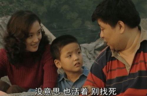 国产剧二虎和刘寡妇视频,情感纠葛下的命运抉择  第3张